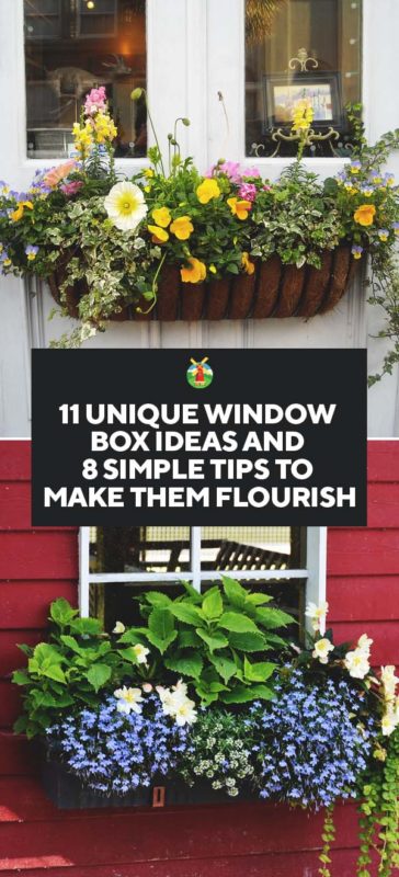 Your Window Box Flourish And 11 Ideas, How To Make A Window Garden Box