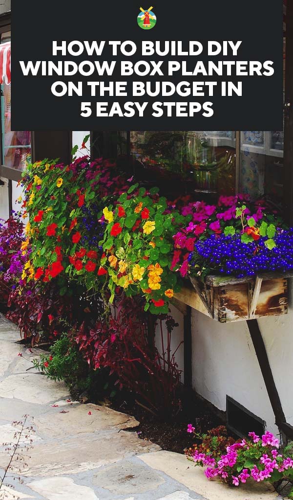 How to Build DIY Window Box Planters on the Budget in 5 Easy Steps