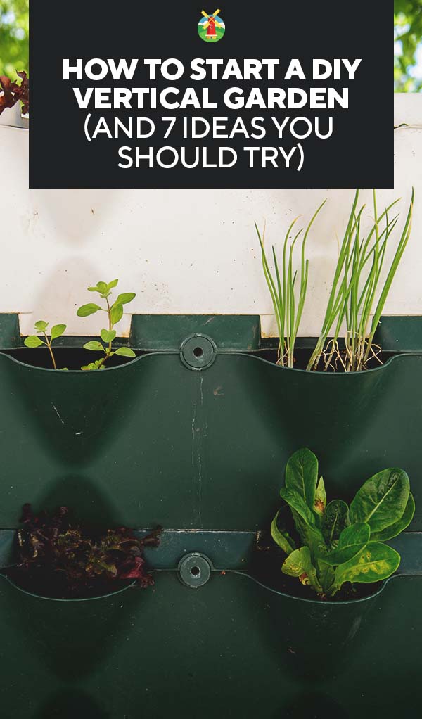 A Complete Guide To Vertical Gardening At Home – UMRDTQ