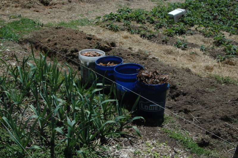 Trench Composting with Materials