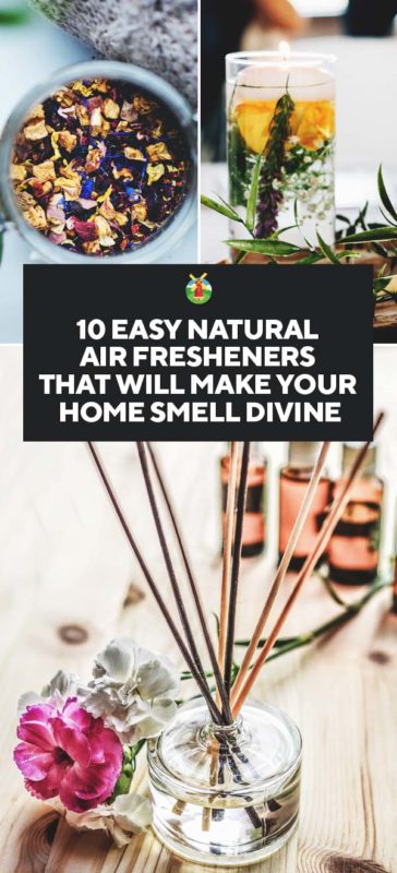 10 Easy Natural Air Fresheners That Will Make Your Home Smell Divine