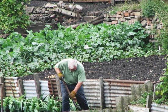 How to Create the Perfect Hugelkultur Garden in Your Backyard