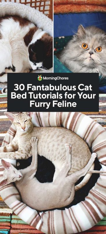 30 Fantabulous Cat Bed Tutorials for Your Furry Feline PIN