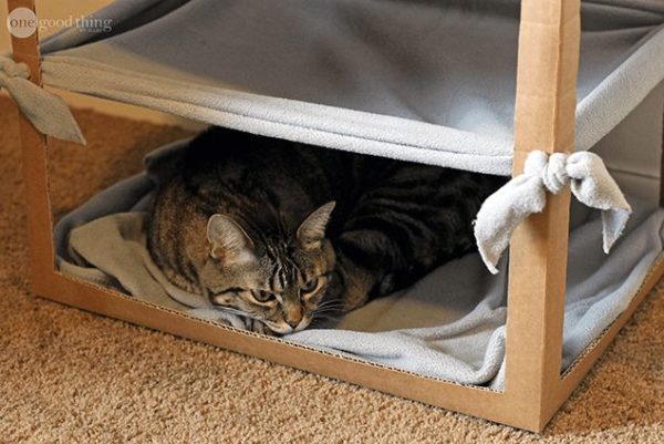 DIY cat bed