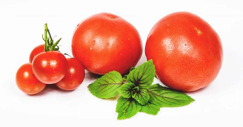 The Easy And Fast Ways To Freezing Tomatoes In 7 Steps,Posion Ivy Rash