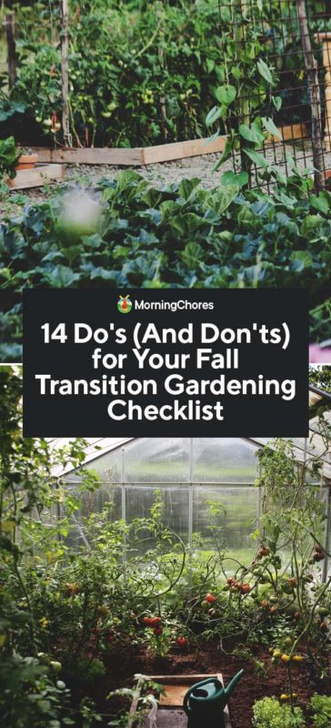 14 Fall Gardening To Do And Don T List, When Should I Start My Fall Garden