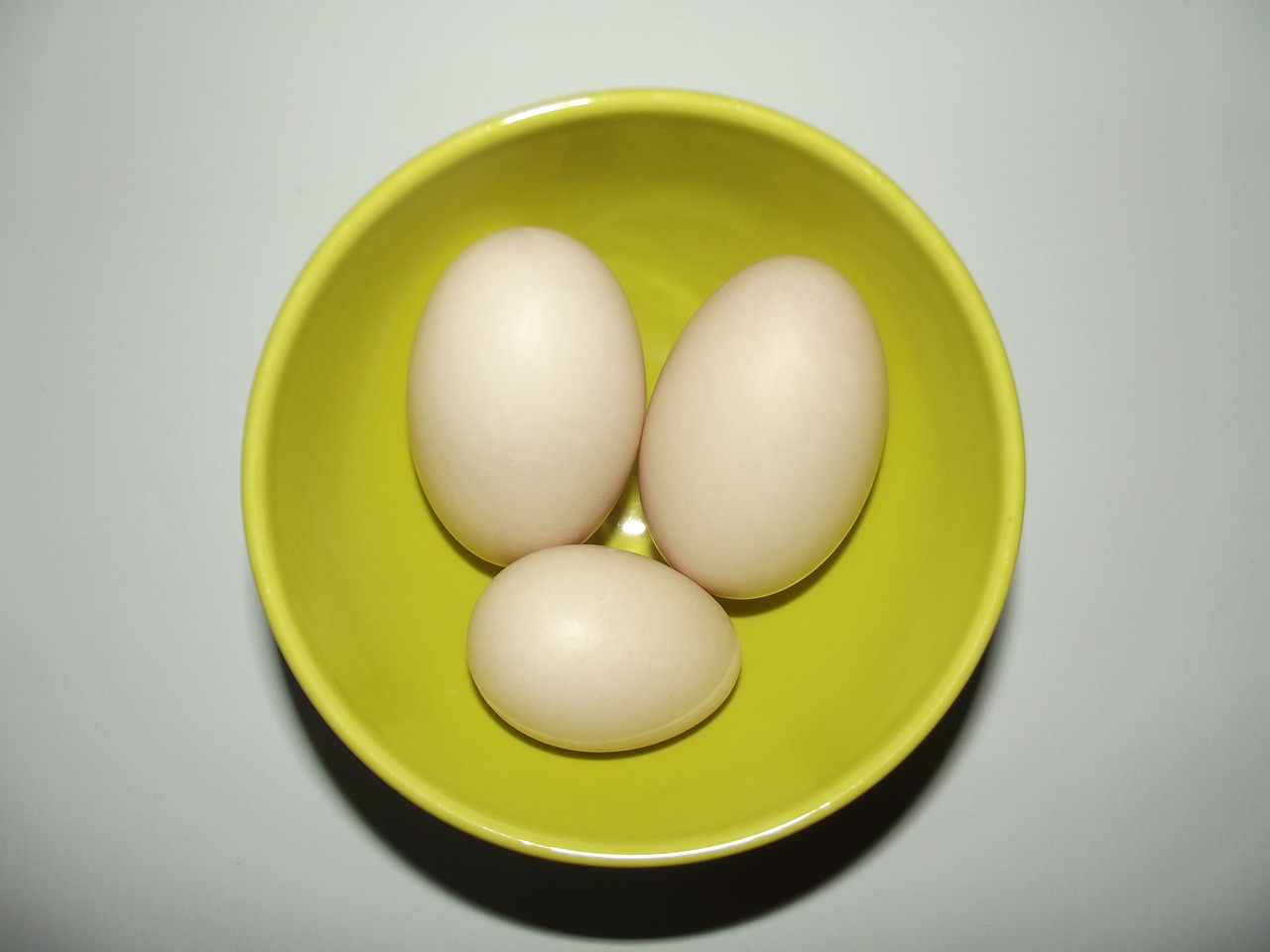 duck eggs.