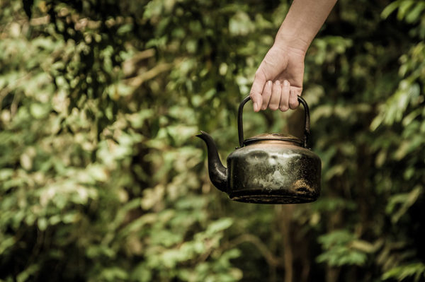 A hand holding a tea kettle - Boiling water is an effective natural weed killer