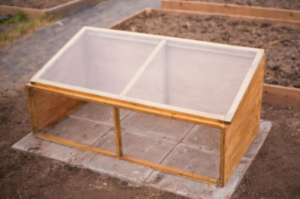 A wood cold frame sitting on concrete