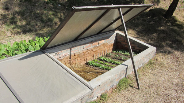 A cold frame in a garden with the door propped open