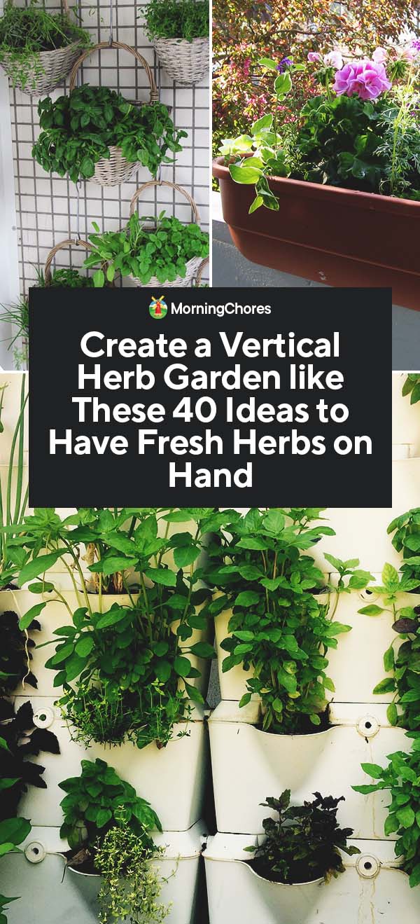 40 DIY Vertical Herb Garden Ideas to Have Fresh Herbs on Hand