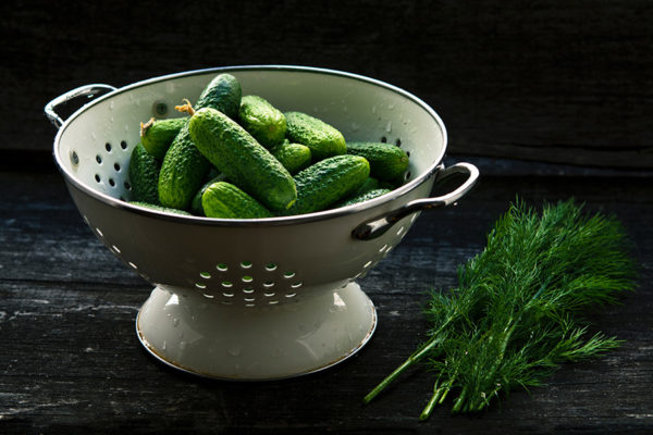 Cucumbers in a colander ready for canning