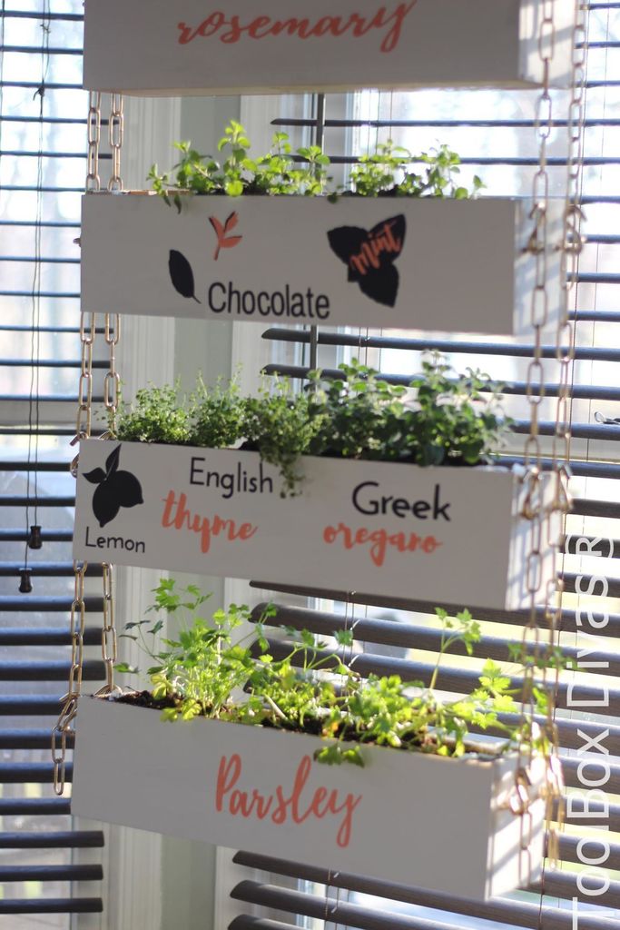 40 DIY Vertical Herb Garden Ideas to Have Fresh Herbs on Hand
