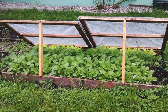 How to Use Low-Cost Cold Frames to Extend Your Gardening Year