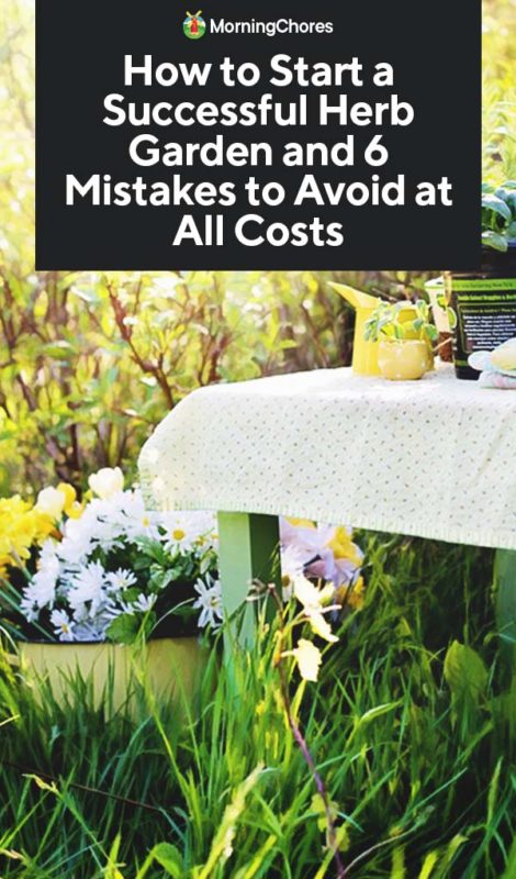 How To Start A Successful Herb Garden And 6 Mistakes To Avoid At