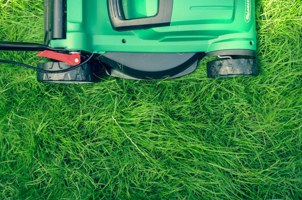 Mowing lawn as a natural weed killer