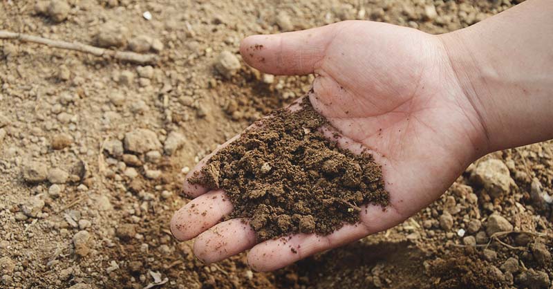 how to make low fertility soil