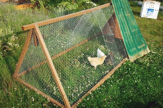27 DIY Chicken Tractor Plans That Anyone Can Build