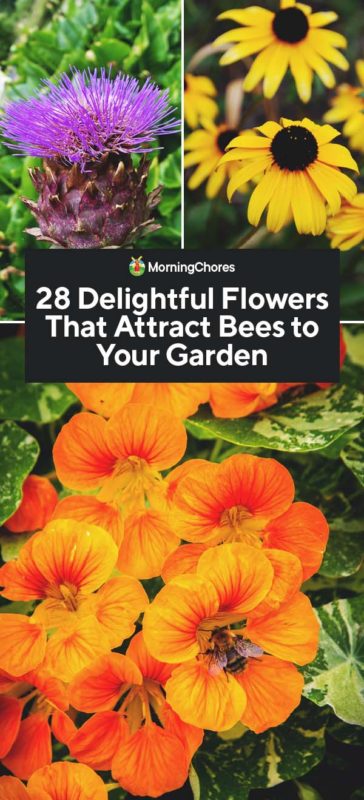 28 Delightful Flowers That Attract Bees to Your Garden