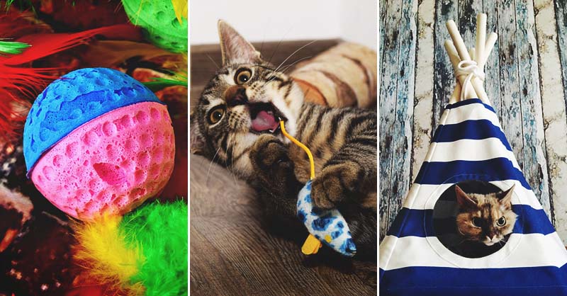 40 Diy Cat Toys Every Lover And Their Cats Will Adore - Diy Puzzle Box For Cats