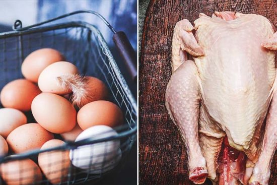 Eggs and Meat Productions: What You Need to Know as a Chicken Owner
