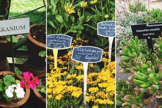 How to Use Plant Labels to Keep Your Garden Organized (and 10 DIY Plant Marker Ideas)
