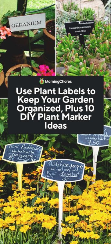 Marker Gardening Hanging Labels Garden Supplies Plant Name Sign Seeding Tags 