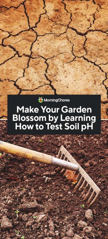 Make Your Garden Blossom by Learning How to Test Soil pH PIN