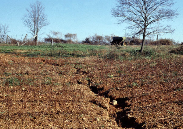 Erosion in a hillside which can be controlled with permaculture techniques