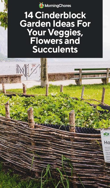 14 Cinderblock Garden Ideas For Your Veggies Flowers And Succulents
