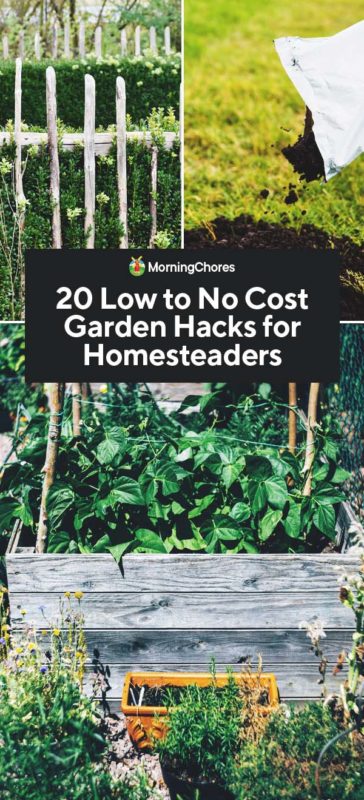20 Low to No Cost Garden Hacks for Homesteaders PIN