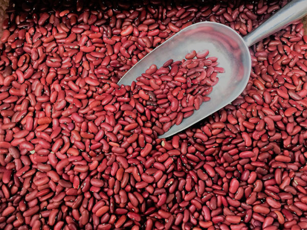 Red dried kidney beans