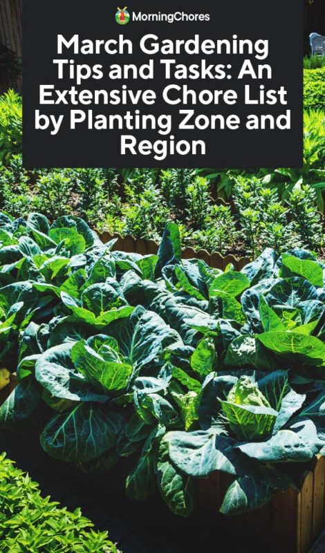 March Gardening Tips and Tasks An Extensive Chore List by Planting Zone and Region PIN