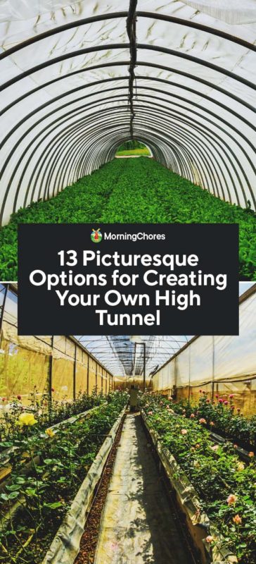 creating your own high tunnel