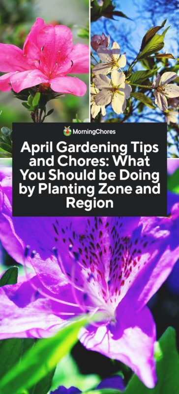 April Gardening Tips and Chores What You Should be Doing by Planting Zone and Region PIN