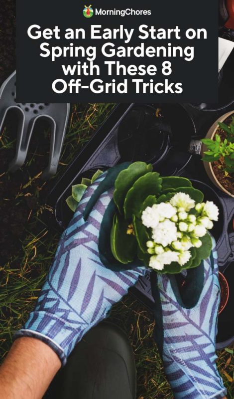 Get an Early Start on Spring Gardening with These 8 Off Grid Tricks PIN