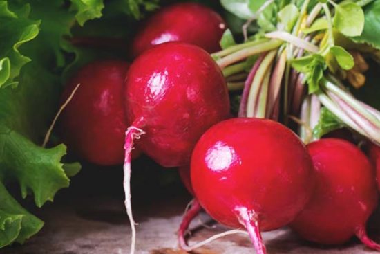 Growing Radishes: The Complete Guide to Plant, Grow and Harvest Radishes