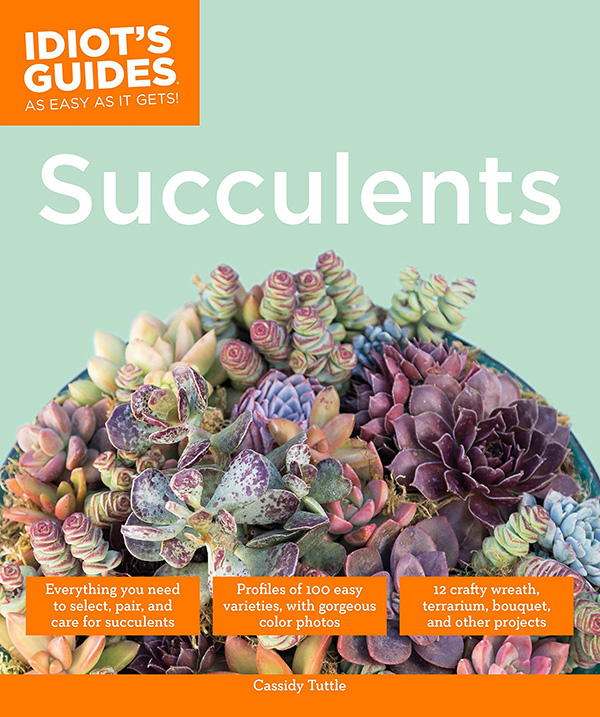 IG Succulents