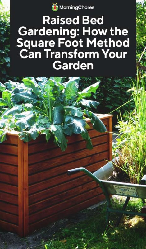 Raised Bed Gardening How the Square Foot Method Can Transform Your Garden PIN