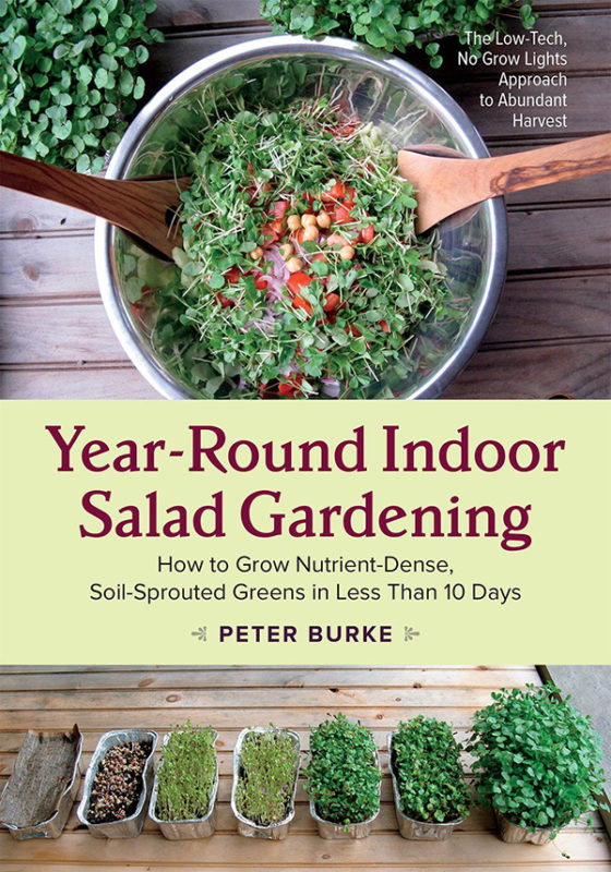 Salad Gardening