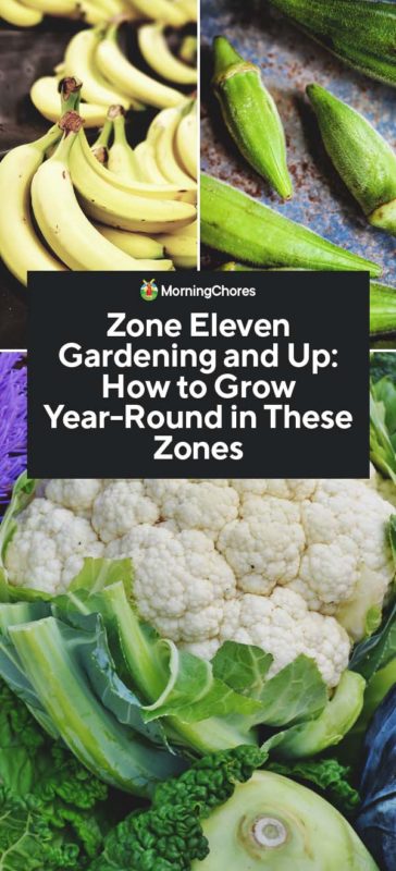 Zone Eleven Gardening and Up How to Grow Year Round in These Zones PIN