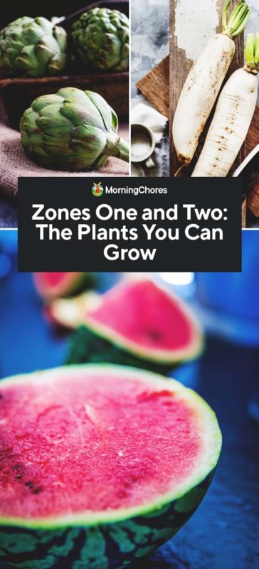 Zones One and Two The Plants You Can Grow PIN