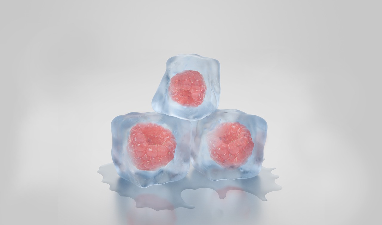 fruit ice cubes