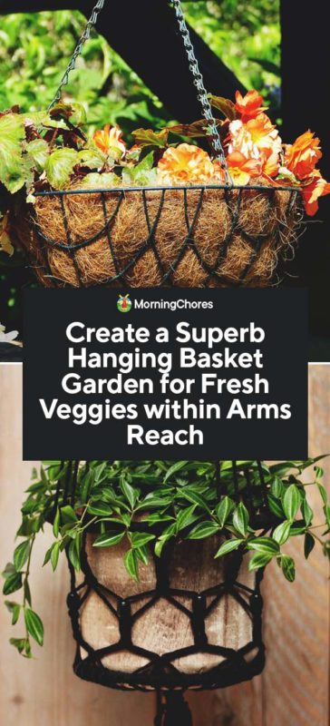 Create a Superb Hanging Basket Garden for Fresh Veggies within Arms Reach PIN
