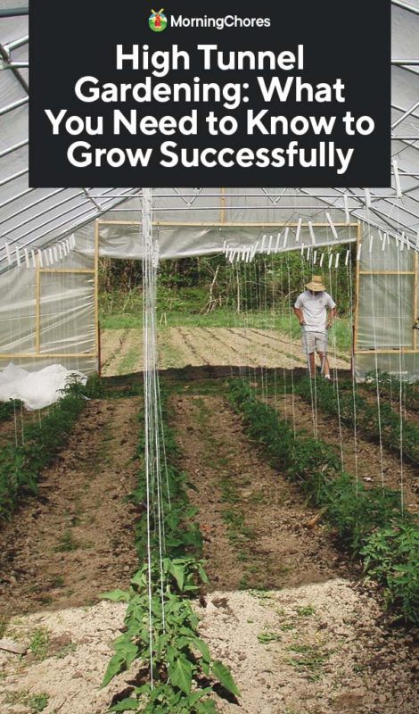 High Tunnel Gardening What You Need to Know to Grow Successfully PIN