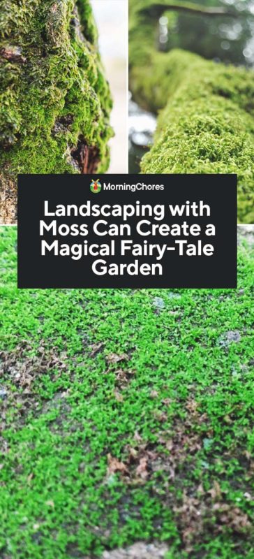 Landscaping with Moss Can Create a Magical Fairy Tale Garden PIN