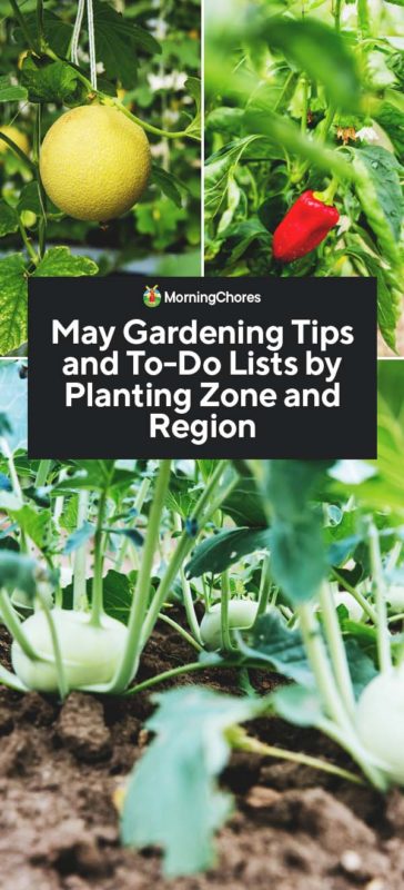 May Gardening Tips and To Do Lists by Planting Zone and Region PIN