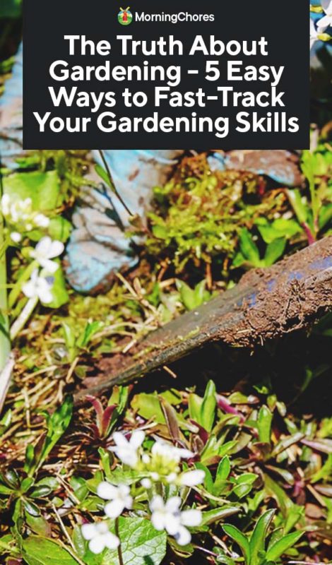 The Truth About Gardening 5 Easy Ways to Fast Track Your Gardening Skills PIN