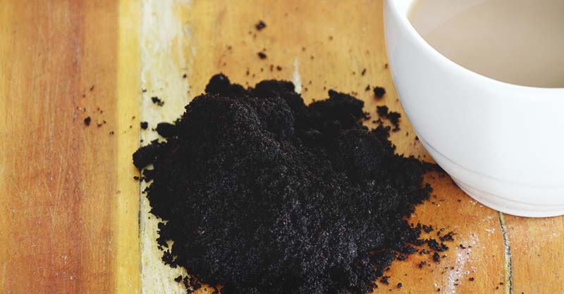 The Truth About Using Coffee Grounds In The Garden