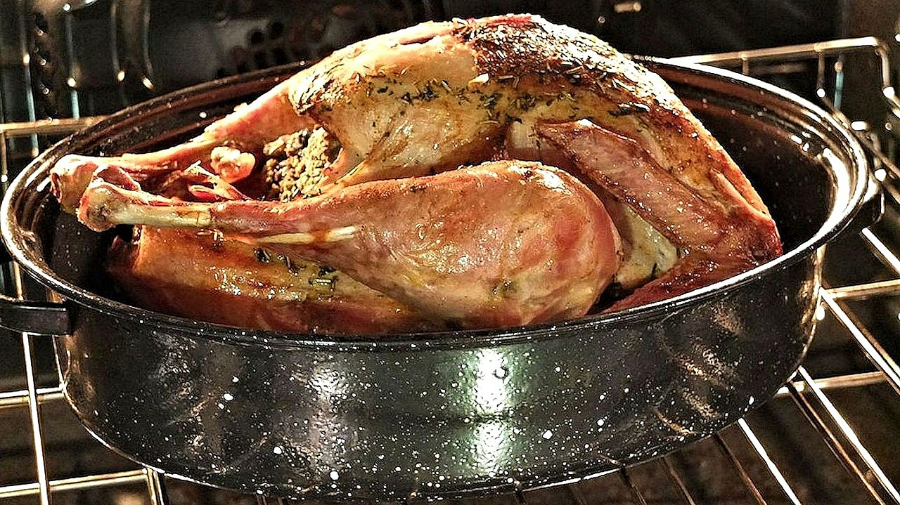 Raising turkeys for meat